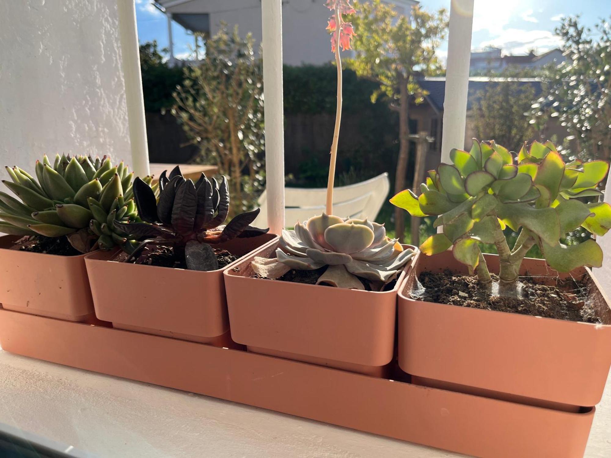 Appartement Deux Pieces Donnant Sur Un Jardin Antibes Esterno foto